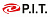 Виброукладчик для бетона P.I.T.  Р 31045 (1500 Вт, 4 м длинна булавы) cтационарный